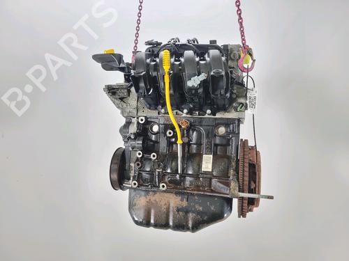 Motor RENAULT TWINGO II (CN0_) 1.2 16V (CN0K, CN0V, CN0A) | BP28836047M1