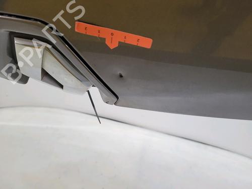Hood RENAULT MEGANE III Hatchback (BZ0/1_, B3_) 1.6 dCi (BZ00, BZ12, BZ13) | BP28971931C1 