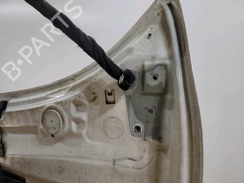Hood RENAULT MEGANE III Hatchback (BZ0/1_, B3_) 1.9 dCi (BZ0N, BZ0J) | BP29553134C1 