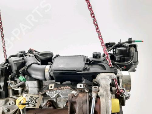 Engine FORD FIESTA VI (CB1, CCN) 1.4 TDCi | BP31963517M1