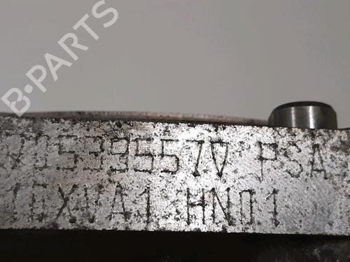 Engine DS DS 3 (SA_) 1.2 THP 110 / PureTech 110 (SAHNPS, SAHNZ6, SAHNZT) | BP31876117M1 