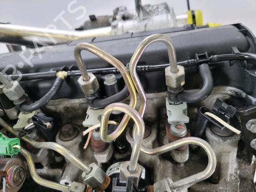 Engine RENAULT CLIO II (BB_, CB_)  | BP28177411M1 