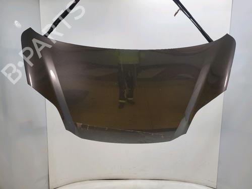 Capot FORD PUMA (J2K, CF7) 1.0 Flexifuel (125 hp) 31913079