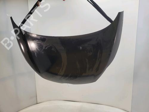 Panser FORD FIESTA VI (CB1, CCN) 1.6 TDCi (95 hp) 30799644