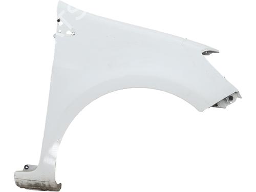 Used Right front fenders RENAULT CLIO III (BR0/1, CR0/1) 1.5 dCi (75 hp) 29874990