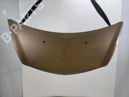 Panser RENAULT CLIO III (BR0/1, CR0/1) 1.2 16V (BR0P, CR0P) (101 hp) 30716562