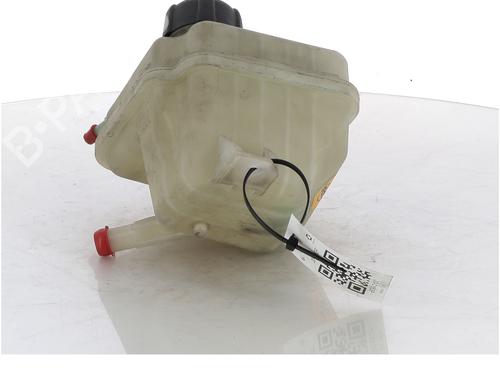 Expansion tank NISSAN QASHQAI I (J10, NJ10) 1.5 dCi | BP17149973C120 