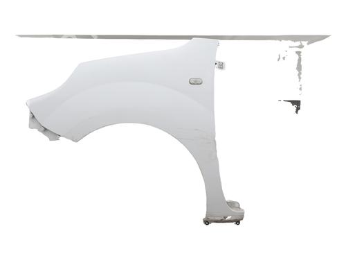 Used Left front fenders RENAULT KANGOO Express (FW0/1_) [2008-2025]  28365063