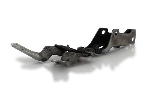Hinge/Door check strap RENAULT CLIO III Grandtour (KR0/1_) 1.5 dCi (KR0G) | BP27914936C146 