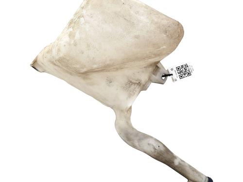 Windscreen washer tank CITROËN JUMPER I Van (244) 2.2 HDi | BP31152710C113
