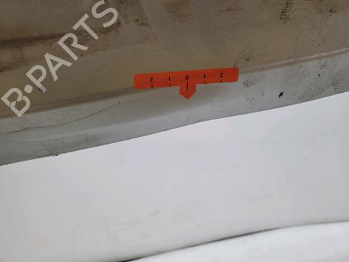 Tailgate RENAULT SCÉNIC III (JZ0/1_) 1.9 dCi (JZ0J, JZ1J, JZ1K, JZ1S) | BP31122924C6 