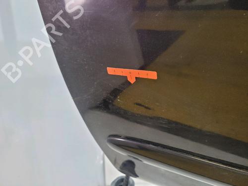 Left front door NISSAN MICRA III (K12) 1.5 dCi | BP25983932C2