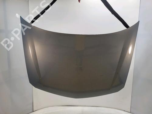 Used Hood RENAULT LAGUNA II (BG0/1_) 1.9 dCi (BG08, BG0G) (120 hp) 29381798