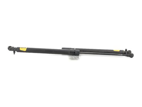 Tailgate lift support PEUGEOT 208 I (CA_, CC_) 1.4 HDi | BP27906516C138
