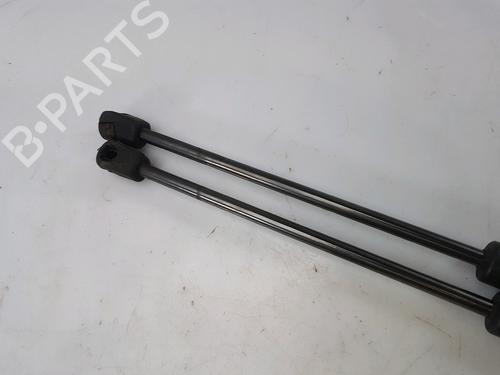 Hood lift support HYUNDAI SANTA FÉ II (CM)  | BP27916982C139 