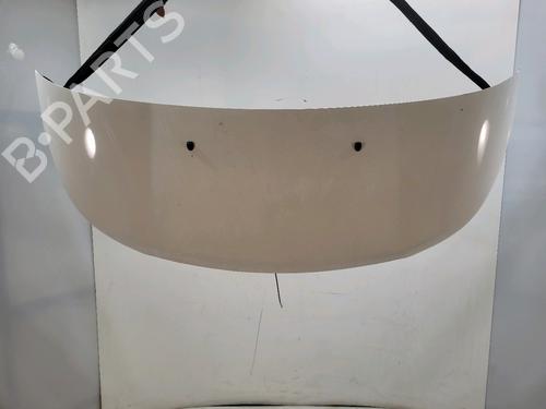 hood-citroen-c3-ii-sc_-2009-32848439 main image