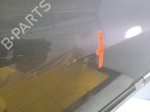 Right front door RENAULT CLIO III (BR0/1, CR0/1) 1.5 dCi | BP29444118C3 