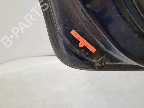 Left rear door DACIA SANDERO II 1.2 | BP29295763C4 