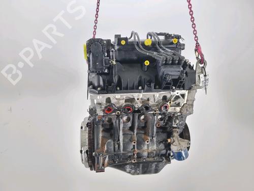 Engine RENAULT CLIO III (BR0/1, CR0/1) 1.2 16V (BR02, BR0J, BR11, CR02, CR0J, CR11) | BP29296171M1 