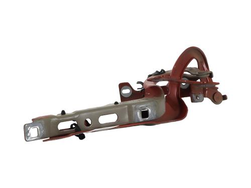 Hinge/Door check strap PEUGEOT 208 I (CA_, CC_) 1.6 BlueHDi 100 | BP31867514C146