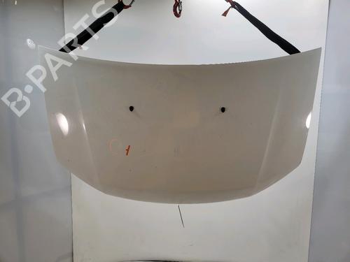 Used Hood DACIA SANDERO II TCe 90 (B8M1, B8MA, B8AC) (90 hp) 29623996