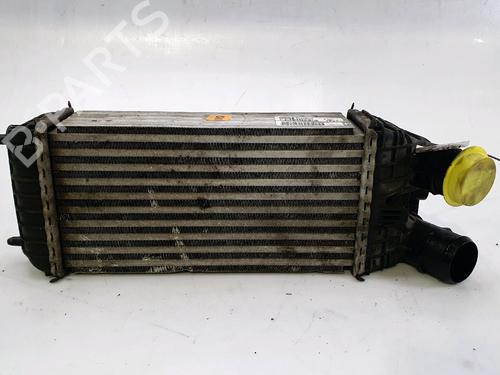 Intercooler PEUGEOT 208 II (UB_, UP_, UW_, UJ_) 1.5 BlueHDI 100 | BP29987683M30 