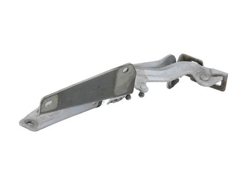 Hinge/Door check strap RENAULT KANGOO Express (FW0/1_) 1.5 dCi 90 (FW0G, FW05, FW08, FW11) | BP29198721C146 