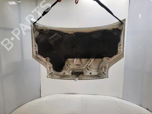 Hood FORD TRANSIT CONNECT (P65_, P70_, P80_) 1.8 TDCi | BP27511182C1