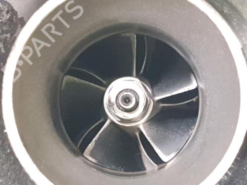 Engine RENAULT CLIO II (BB_, CB_) 1.5 dCi (B/CB07) | BP29874546M1