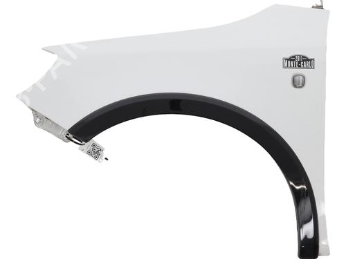 Used Left front fenders SKODA FABIA II (542) 1.6 TDI (75 hp) 29623780