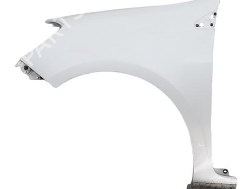 Used Left front fenders RENAULT CLIO III (BR0/1, CR0/1) 1.5 dCi (75 hp) 31349599