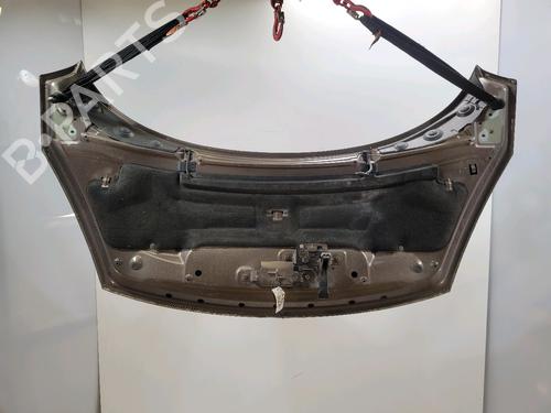Hood RENAULT SCÉNIC III (JZ0/1_) 1.5 dCi (JZ02, JZ0R) | BP26703495C1
