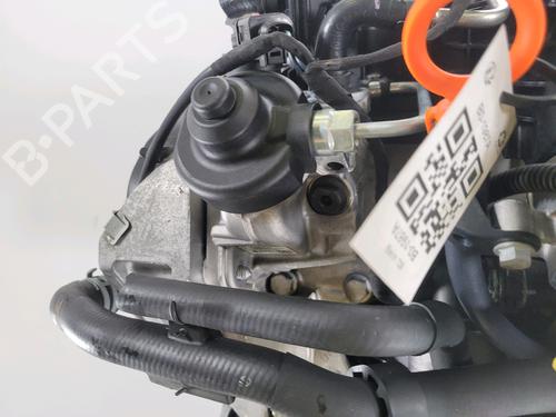 Engine VW GOLF PLUS V (5M1, 521)  | BP28207596M1 