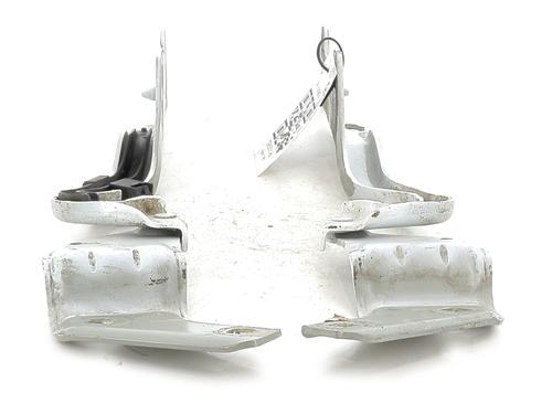 Used Hinge/Door check strap RENAULT CLIO III (BR0/1, CR0/1) 1.5 dCi (75 hp) 27908709