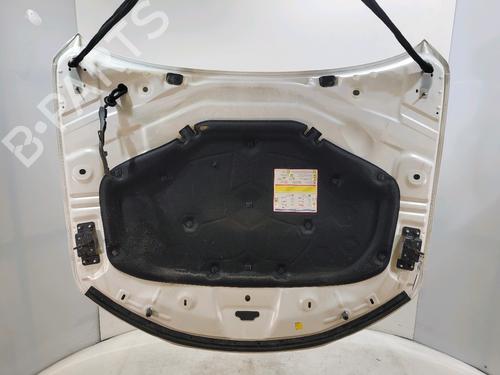 Hood ALFA ROMEO GIULIA (952_) 2.0 Q4 (952ACA45, 952ACA25) | BP31078764C1