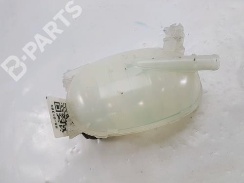 Expansion tank NISSAN JUKE (F16_) DIG-T 117 | BP10470681C120 