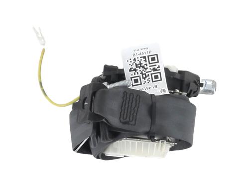 Rear left belt tensioner RENAULT CLIO III (BR0/1, CR0/1) 1.2 16V (BR02, BR0J, BR11, CR02, CR0J, CR11) | BP29931833C89 