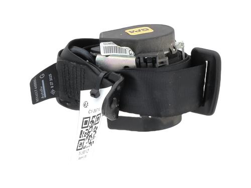 Used Rear left belt tensioner RENAULT KANGOO / GRAND KANGOO II (KW0/1_) [2008-2025]  30924854