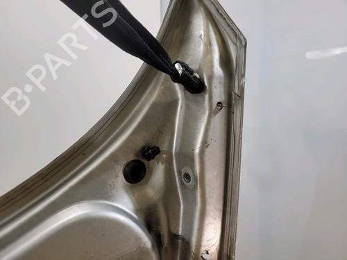 Hood RENAULT SCÉNIC II (JM0/1_) 1.5 dCi (JM1E, JM16) | BP29381861C1 