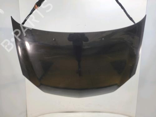 Used Hood RENAULT CLIO III (BR0/1, CR0/1) [2005-2014]  32842879