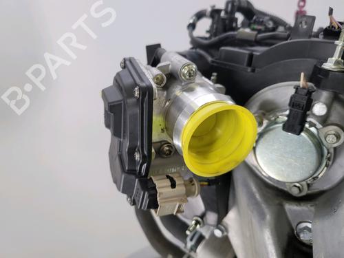 Engine FORD ECOSPORT 1.0 EcoBoost | BP28616082M1