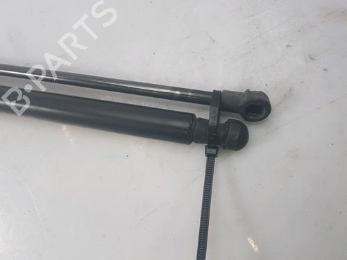 Tailgate lift support NISSAN QASHQAI / QASHQAI +2 I (J10, NJ10, JJ10E) 1.6 dCi | BP27916872C138 