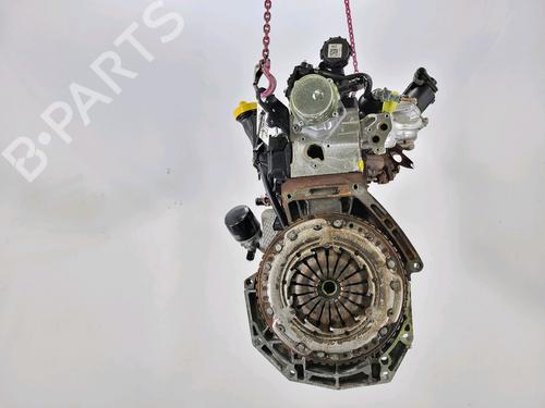 Engine RENAULT MODUS / GRAND MODUS (F/JP0_)  | BP24192879M1 