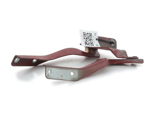 Hinge/Door check strap NISSAN QASHQAI I (J10, NJ10) 2.0 dCi All-wheel Drive | BP29346546C146 