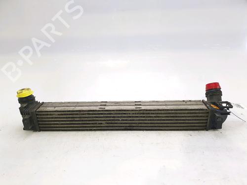Intercooler RENAULT MEGANE III Hatchback (BZ0/1_, B3_) 1.5 dCi (86 hp) 28971737