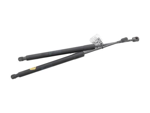 Used Tailgate lift support OPEL MERIVA B MPV (S10) 1.7 CDTI (75) (110 hp) 31662379