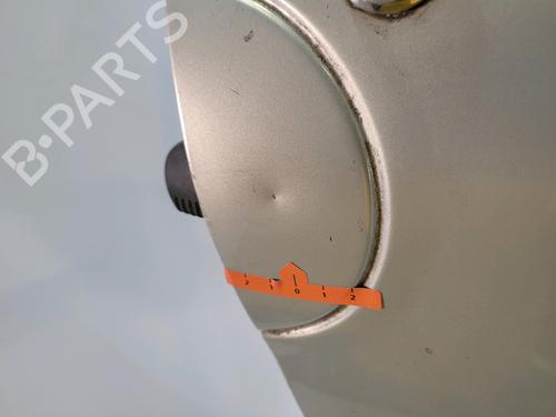 Right front door RENAULT TWINGO I (C06_)  | BP27553920C3 