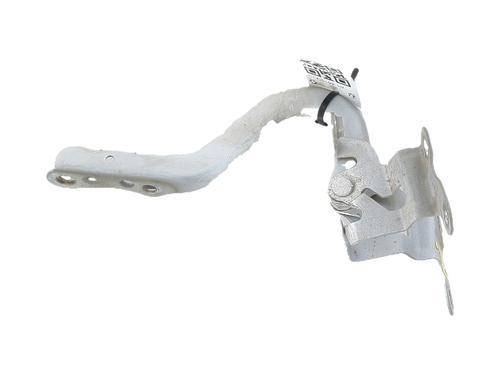 Used Hinge/Door check strap Hinge/Door check strap 38497005 38497005