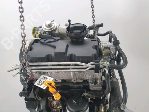 Engine SKODA FABIA II (542) 1.4 TDI | BP37657841M1 - Image 5