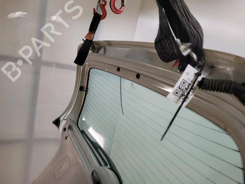 Tailgate RENAULT SCÉNIC I MPV (JA0/1_, FA0_) 1.9 dTi (JA1U) | BP30049676C6 